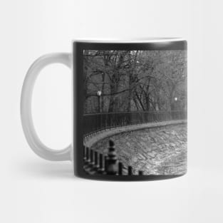 Jacqueline Kennedy Onassis Reservoir NY Mug